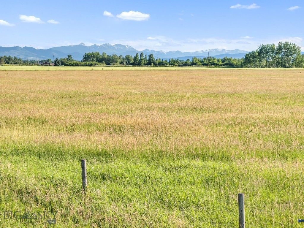 TBD S. Cottonwood Road, Bozeman, MT 59718 photo 20
