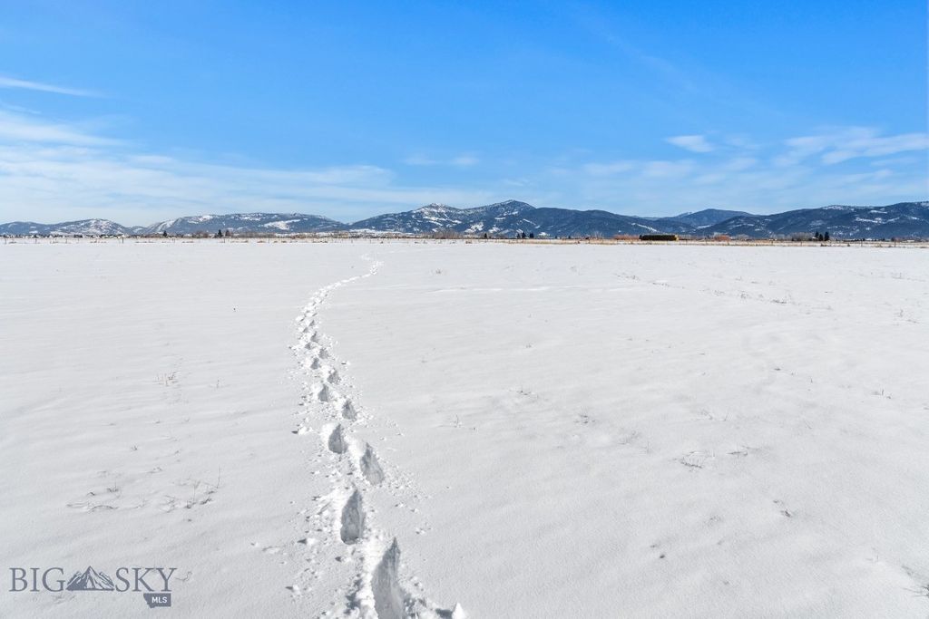 TBD S. Cottonwood Road, Bozeman, MT 59718 photo 28