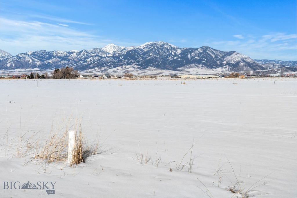 TBD S. Cottonwood Road, Bozeman, MT 59718 photo 31