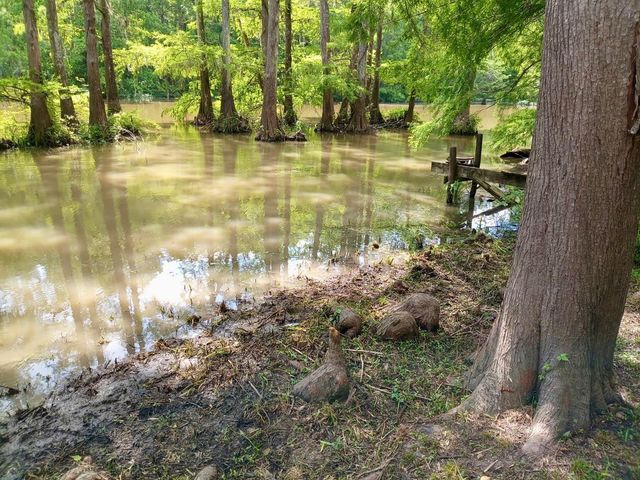 234 County Road 2870, Cleveland, TX 77327