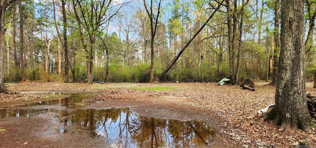 27678 Wisconsin Ln, Holden, LA 70744