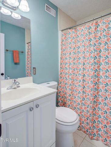 780 Hamilton Road Apt C1, Blountville, TN 37617