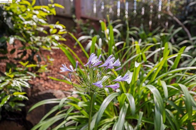 3560 Dwight Way, Berkeley, CA 94704