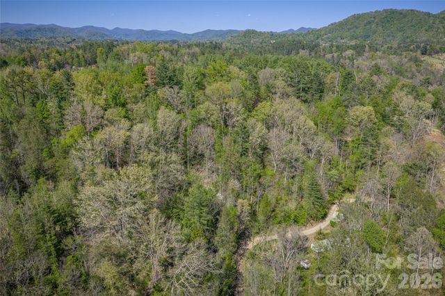44 Marshbanks Ridge, Weaverville, NC 28787