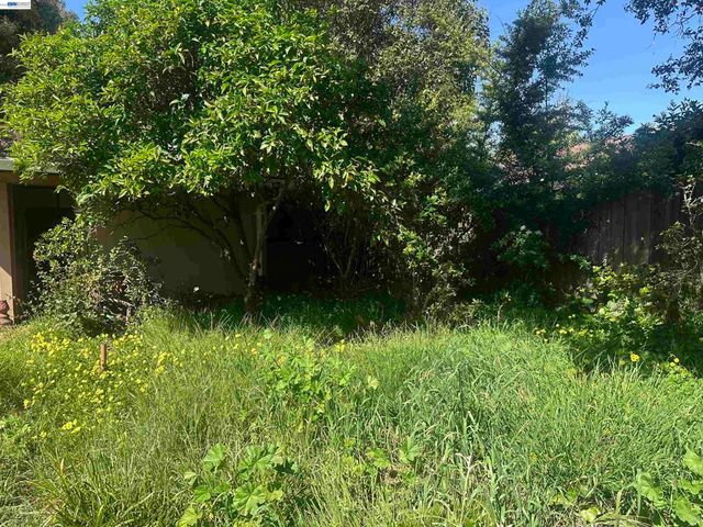 2533 Harrington Ave, Oakland, CA 94601