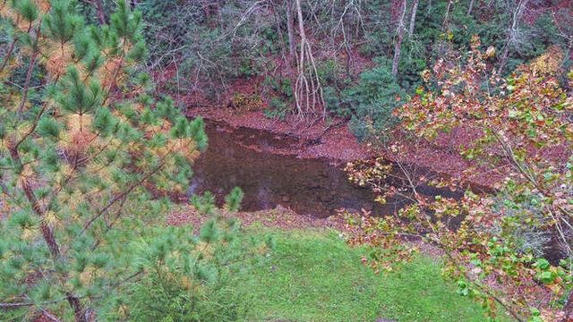 7670 Hiawassee Wilderness, Hiawassee, GA 30546