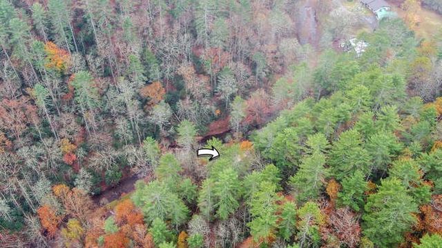 7670 Hiawassee Wilderness, Hiawassee, GA 30546