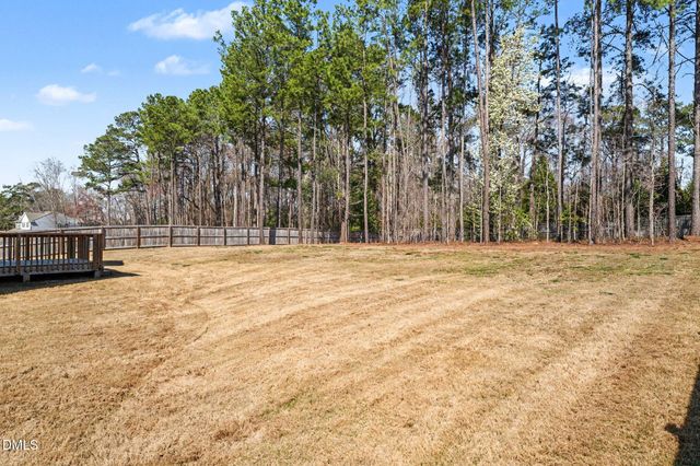 51 E Dentaires Way, Willow Spring, NC 27592