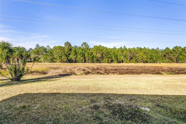 1739 CANOE CREEK FALLS DRIVE, Orlando, FL 32824