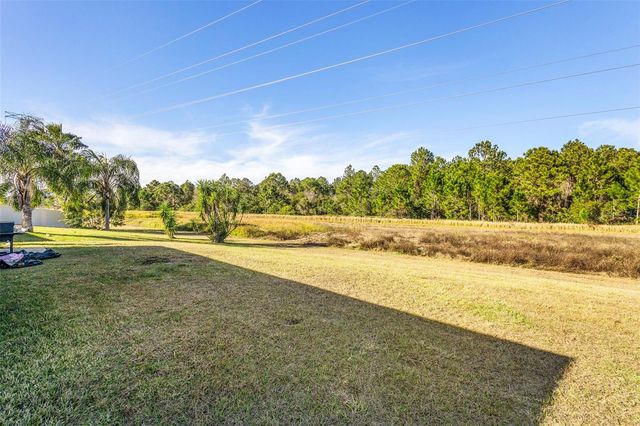 1739 CANOE CREEK FALLS DRIVE, Orlando, FL 32824