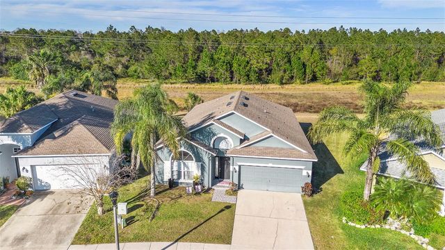 1739 CANOE CREEK FALLS DRIVE, Orlando, FL 32824