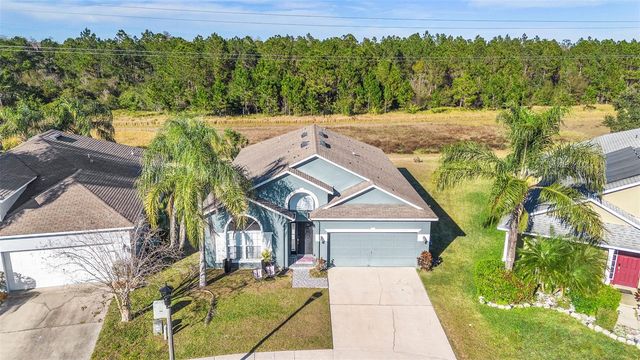 1739 CANOE CREEK FALLS DRIVE, Orlando, FL 32824