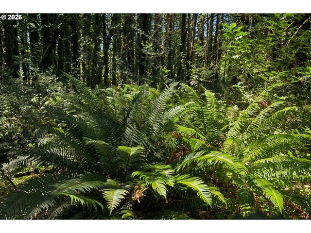 12425 Sw RIVERVIEW Ln, Wilsonville, OR 97070