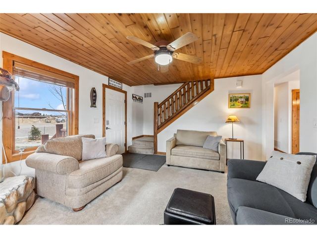 268 Fuller Dr B, Fairplay, CO 80440