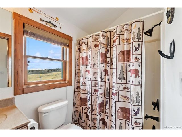268 Fuller Dr B, Fairplay, CO 80440