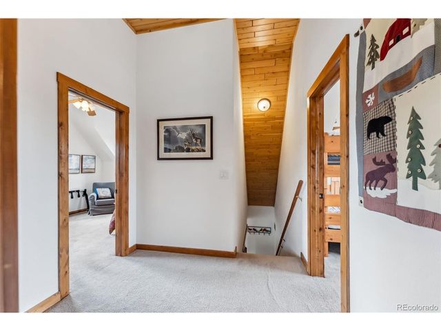 268 Fuller Dr B, Fairplay, CO 80440