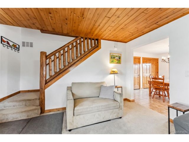 268 Fuller Dr B, Fairplay, CO 80440