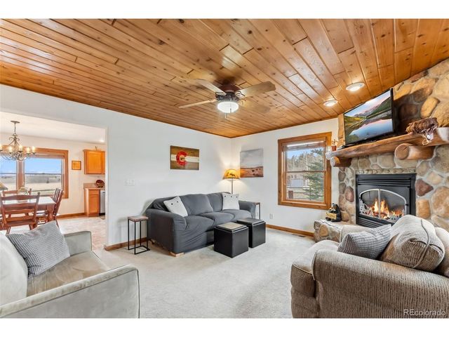 268 Fuller Dr B, Fairplay, CO 80440