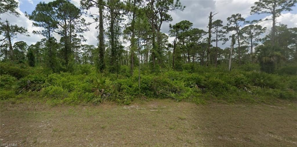 2017 Columbus AVE, ALVA, FL 33920 — exterior
