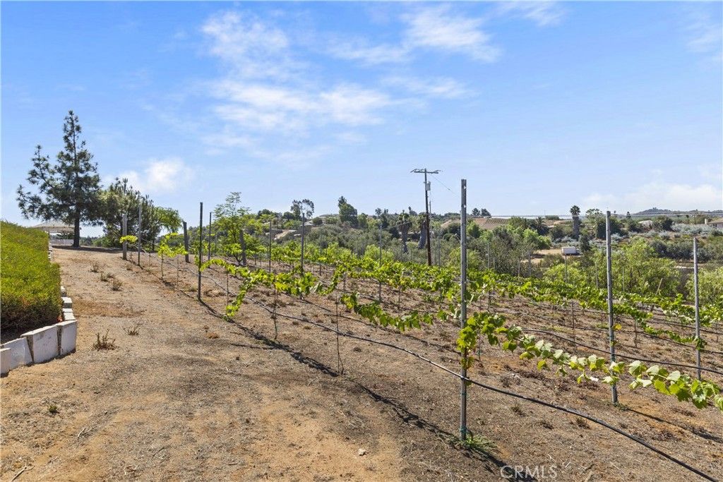 9914 W Lilac Road, Escondido, CA 92026 — photo 2
