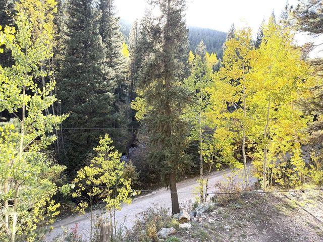 7992 County Road 43, Bailey, CO 80421