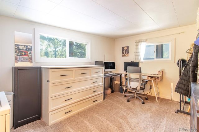 7992 County Road 43, Bailey, CO 80421
