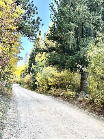 7992 County Road 43, Bailey, CO 80421
