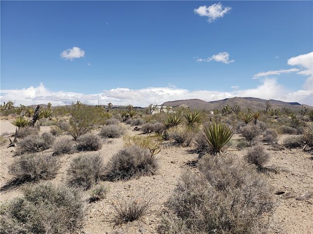 3 Acres La Crescenta, White Hills, AZ 86445