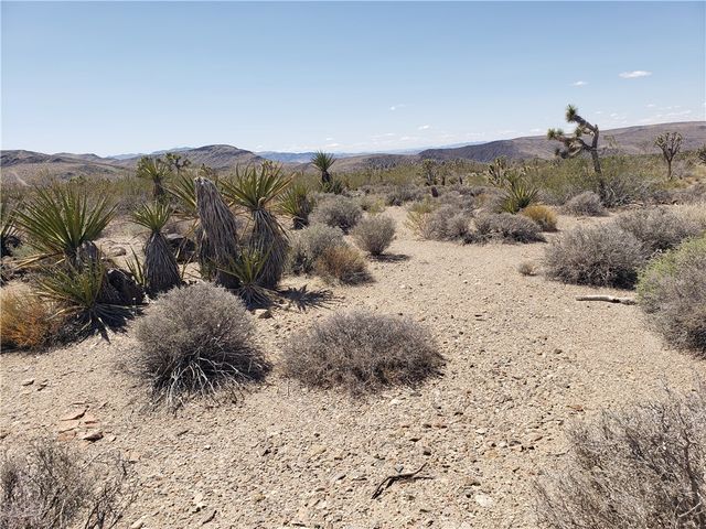 3 Acres La Crescenta, White Hills, AZ 86445