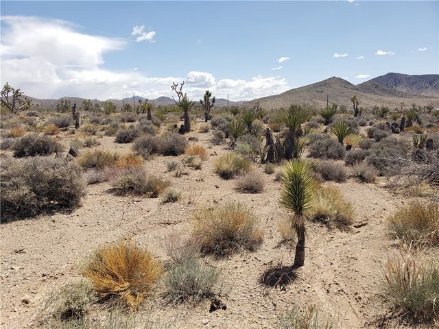 3 Acres La Crescenta, White Hills, AZ 86445