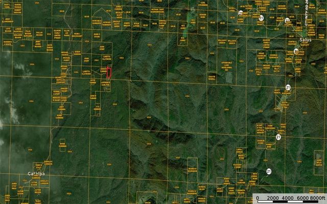 1613 Moonhull Road, Oark, AR 72852