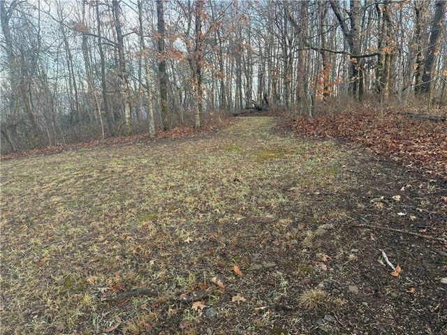 1613 Moonhull Road, Oark, AR 72852