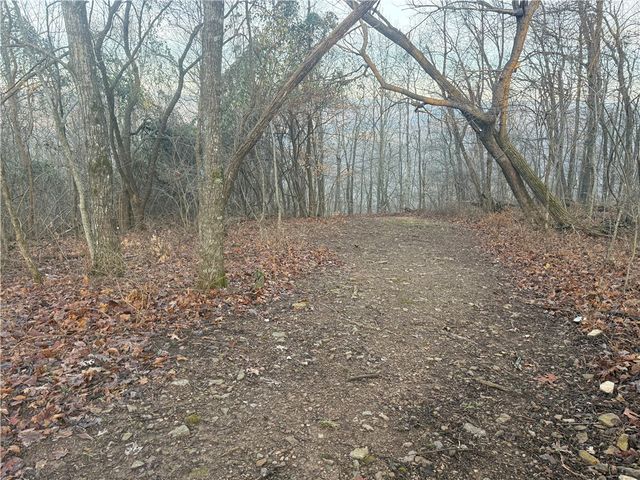 1613 Moonhull Road, Oark, AR 72852