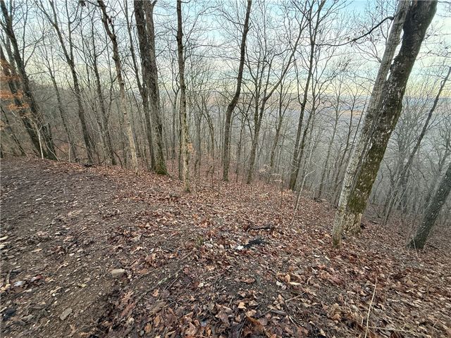 1613 Moonhull Road, Oark, AR 72852