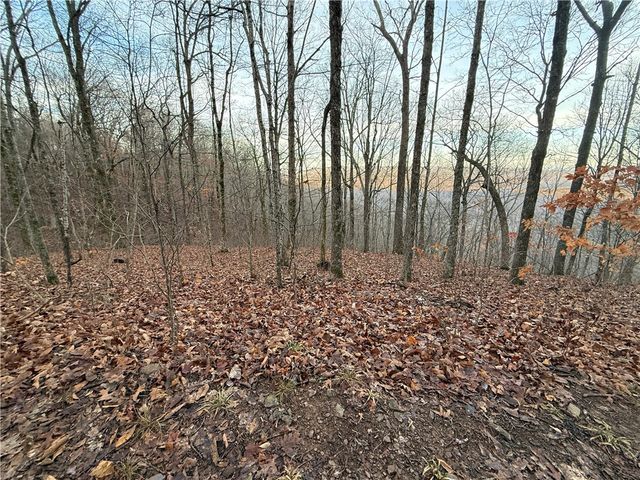 1613 Moonhull Road, Oark, AR 72852