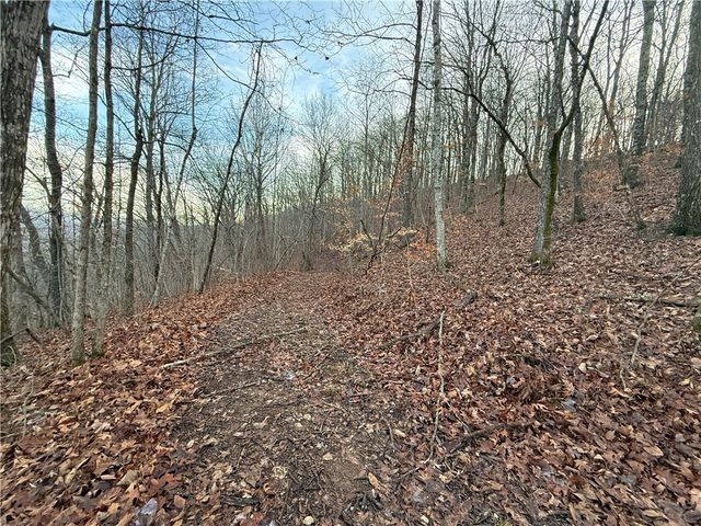 1613 Moonhull Road, Oark, AR 72852