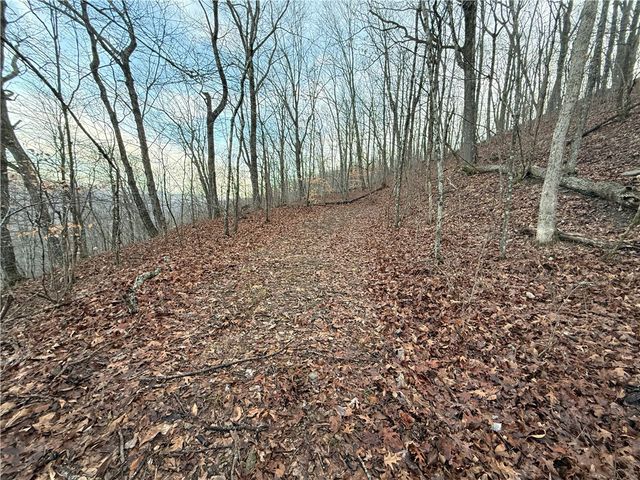 1613 Moonhull Road, Oark, AR 72852