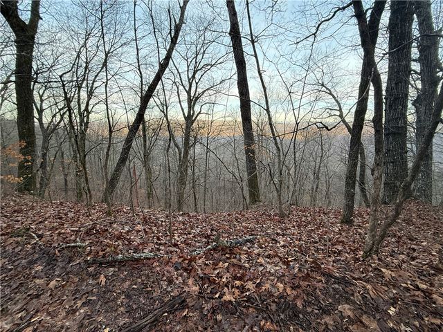 1613 Moonhull Road, Oark, AR 72852