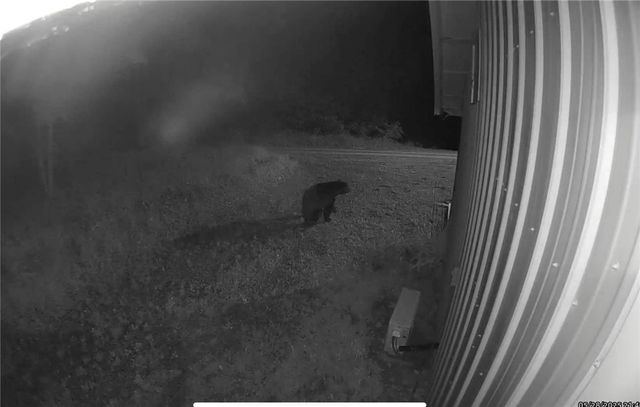 1613 Moonhull Road, Oark, AR 72852