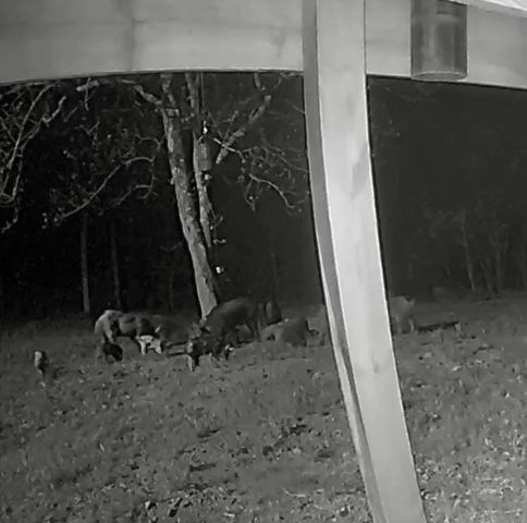 1613 Moonhull Road, Oark, AR 72852