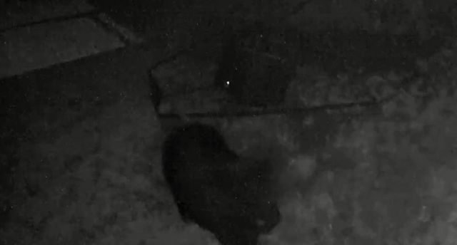 1613 Moonhull Road, Oark, AR 72852