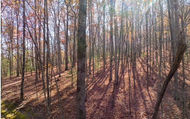 LOT 7 Joseph Anderson Trail, Ellijay, GA 30536