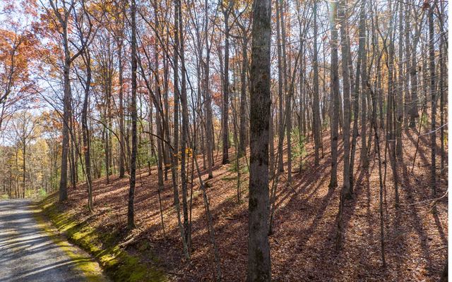 LOT 7 Joseph Anderson Trail, Ellijay, GA 30536