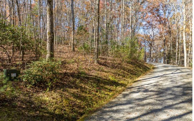 LOT 7 Joseph Anderson Trail, Ellijay, GA 30536