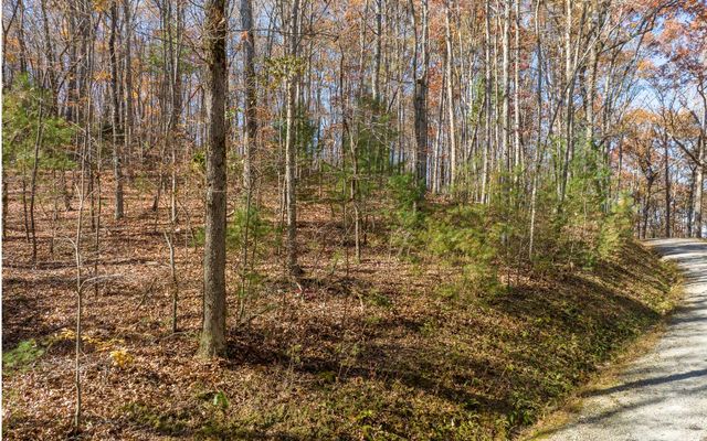 LOT 7 Joseph Anderson Trail, Ellijay, GA 30536