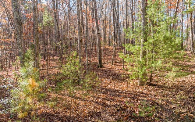 LOT 7 Joseph Anderson Trail, Ellijay, GA 30536