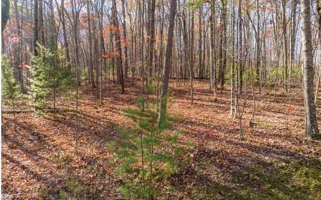 LOT 7 Joseph Anderson Trail, Ellijay, GA 30536