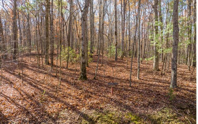 LOT 7 Joseph Anderson Trail, Ellijay, GA 30536