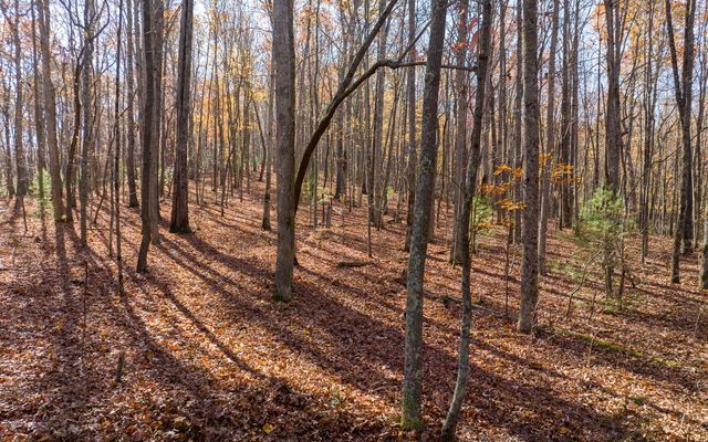 LOT 7 Joseph Anderson Trail, Ellijay, GA 30536