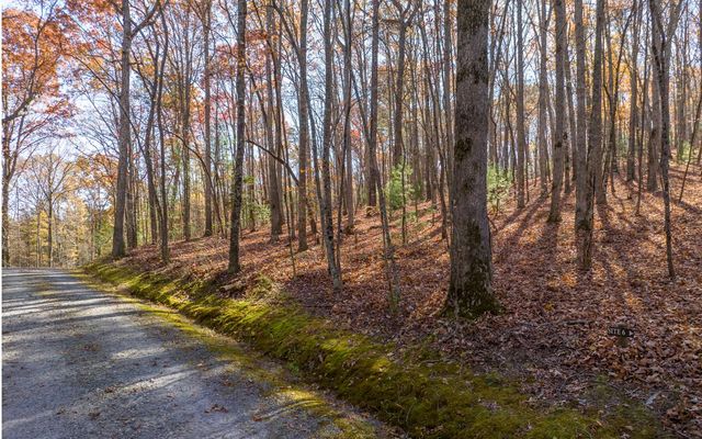 LOT 7 Joseph Anderson Trail, Ellijay, GA 30536